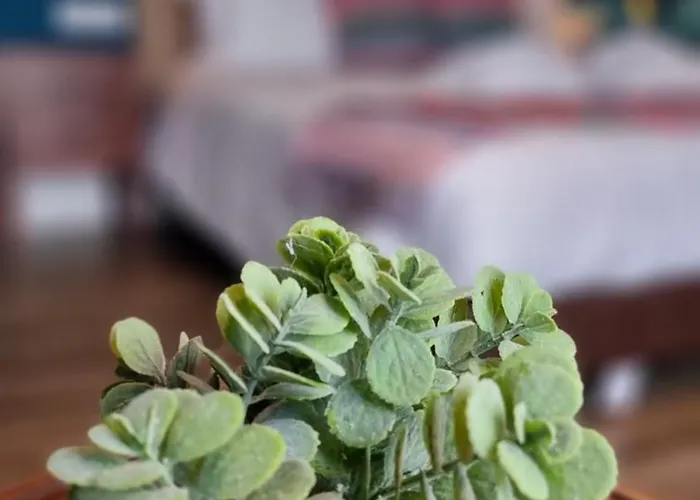 Acores Autentico Boutique 4*