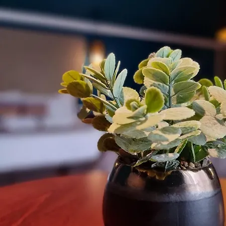 Acores Autentico Boutique 酒店 英雄港